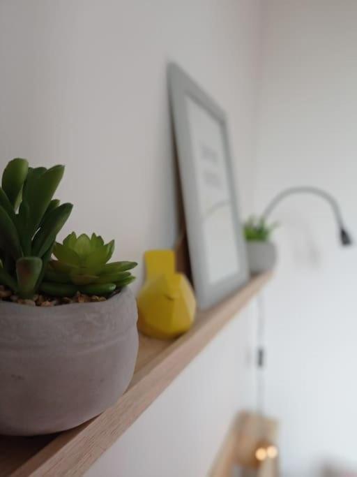 Little Bahia Apartment แซ็งต์มาโล ภายนอก รูปภาพ